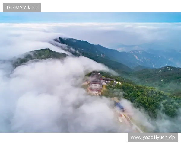全面解析线上竞猜网站的玩法技巧与风险控制，提升您的竞猜体验与收益